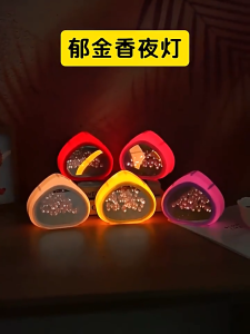 Led Cermin Lampu Bunga Tulip Lampu DIY Tulip Lampu Malam Dekorasi Hadiah Romantis Ulang Tahun