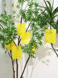 20-400Pcs Yellow Double-sided Flying Insect Catching Control Sticker Mosquito Fruit Fly Sticky for Greenhouse Home Garden