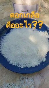 ดอกเกลือ 1 กก. x 3 ถุง (ราคาส่ง)