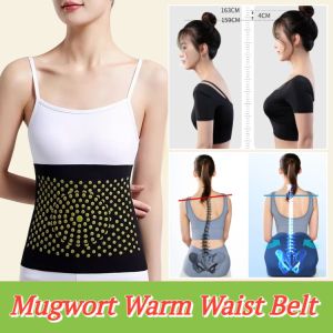 Summer Mugwort Dehumidification Waist Care Adjustable Self Heating Warm Lumbar Support Belt