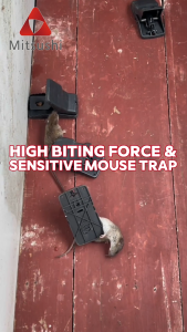 Mitsushi Mouse Rat Traps for Big Rat High Sensitive Snap Big Mouse Trap Rodent Catcher
