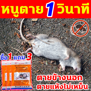 หนูตายหมดในคืนเดียว ยาเบื่อหนู ทำจากข้าวสาลี 1แถม3 ยาเบื่อหนู มีประสิทธิภาพในการกำจัดหนูในสภาพแวดล้อมต่างๆ ยาฆ่าหนู ไม่มีกลิ่นไม่พึงประสงค์ เหยื่อกำจัดหนู ยากำจัดหนูถาวร ให้ความปกป้องที่ยาวนานต่อการระบาดของหนู สารกำจัดหนู