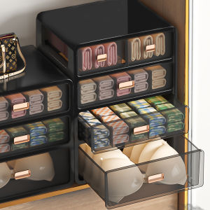 Large Wardrobe Underwear Storage Box Dormitory Bedside Socks Organizer Three-in-One Divided Storage Box Pants Arrangement