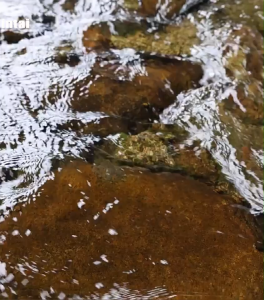 LXY กะละมังพับเก็บได้ ถังพับได้ ประหยัดพื้นที่ ถังพกพาได้สะดวก ทนทานต่ออุณหภูมิสูง น้ำหนักเบา ขนาด5/10 ลิตร พร้อมส่ง