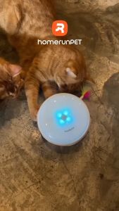 HOMERUNPET สมาร์ทโดนัท ของเล่นแมว ขนนกล่อแมวอัตโนมัติ - สมาร์ทโดนัท ของเล่น สมาร์ทโดนัท