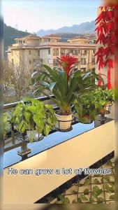 LOVIDA MALAYSIA 22cm Balcony Plant Hanging Basket Flower Pot Holder Hanger Fence Planters Assemble Outdoor Plant Baskets Rak Pasu 花盆架