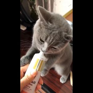 Gel tiêu búi lông và dưỡng lông cho Mèo thương hiệu Dorrikey tuýp 120gram - Love Pets Shop