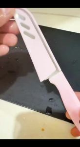 Mini Stainless Fruit Knife with Cover Steel