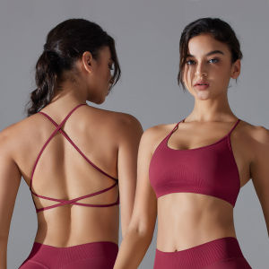 Áo Bralette Thể Thao Có Đệm Dành Cho Nữ Áo Tập Yoga Áo Tập Gym Áo Tập Thể Dục Áo Chạy Bộ Áo Tập Luyện Chất Liệu Nylon Co Giãn Cao Màu Trơn Kiểu Dáng Đơn Giản