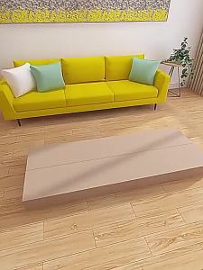 Floor and Wall Mount Full Length Dressing Mirror