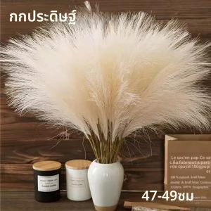 10 ชิ้นประดิษฐ์ Reed ดอกไม้ประดิษฐ์ Pampas สไตล์โบฮีเมียนบ้านในร่มและกลางแจ้งงานแต่งงาน Reed ตกแต่งดอกไม้