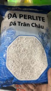 Đá perlite đá trân châu bao 5dm3 Lavamix 500gram