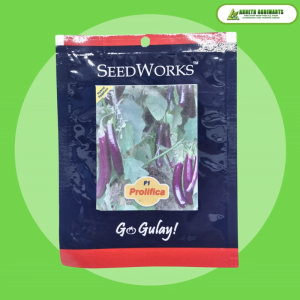 SEEDWORKS PROLIFICA F1 VARIETY EGGPLANT SEEDS (25g PACK)