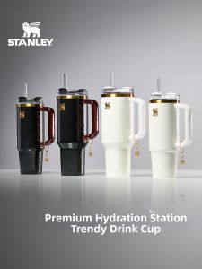 STANLEY | Insulated Striped Design Large Sippy Bottle