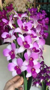 ช่อกล้วยไม้บูชาพระ ดอกกล้วยไม้ปลอมเกรดพรีเมียม สวยเหมือนจริง - ชุดประเภทดอกกล้วย 30 วัตถุประกัน