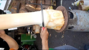 Củ Hủ Dừa Tươi 2kg (Khúc Ngon Nhất) Không tẩy Trắng & Không Hoá Chất Độc Hại (HÀNG GIỚI HẠNG) - PHÁT ĐẠT