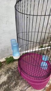 CEPUK TABUNG DISPENSER PLECI KENARI LUAR NON MERK 1 SET 1 PCS TEMPAT PAKAN MAKANAN MAKAN MINUM BURUNG KENARI LOVEBIRD PLECI PASANG DARI DI LUAR KANDANG ANTI TUMPAH COCOK UNTUK BURUNG KECIL DI KANDANG BESI SEPERTI SANGKAR HELOPED ATAU SANGKAR KAPSUL