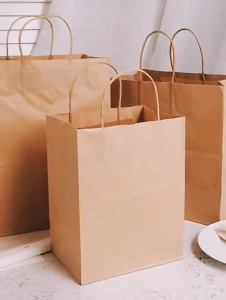 10pcs Kraft Paper Bag with twist Handle bag Gift Bag Kraft Bag Plain Hand bag Brown/Red/Green