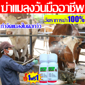 (1ฟรี1) ยากำจัดแมลงวันในคอกวัว ฉีดในคอกสัตว์ได้ ยาไล่ยุงคอกวัว ยาฉีดแมลงวัน น้ำยาไล่แมลงให้วัว ยากำจัดแมลง ไล่ยุงในคอกวัว 100 ซีซี. ยาฆ่าแมลงวัน ยาฆ่ายุง พ่นยุง ยากําจัดยุงในคอกวัว ยาฉีดยุงในคอกวัว ออกฤทธิ์เร็วเมื่อได้รับการสัมผัส