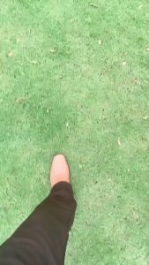 Burlois Celana panjang formal pria slimfit terbaru Celana panjang kantoran pria semiwool terkini