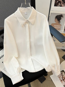 Professional Womens Long Sleeve Shirt Spring Autumn Chiffon Workwear Loose Top Formal Interview Clothing Korean Style Straight Cut