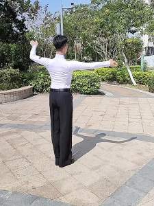 DANBAOLUO | Mens Latin Dance Competition Shirt