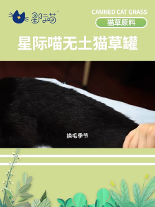 Cat Grass Planting Kit DIY Soil-less Fast Growing Cat Wheat grass Planting Set for Pet Health Care