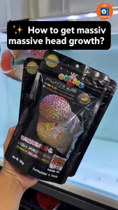 Okiko Platinium Color Developer and Head Growth 100g Pellets Fish Pellet