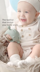 Hanmoon | New Parents Babies Essentials Children Development Toy Pacifier | Koala Handheld Teether