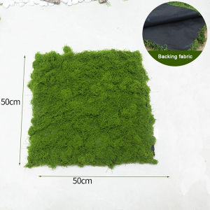 Simulation Artificial Moss False Grass Carpet Bionic Lawn Paving Accessory DIY Micro Landscape Decor for Bonsai Indoor Outdoor