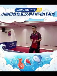 Double Fish | Beginner Friendly Professional Grade High Bounce Table Tennis Rackets Dual Set