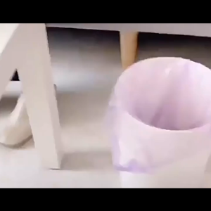 120g Gel Anti Nyamuk / Gel Pengusir Nyamuk / Citronella Mosquito Gel