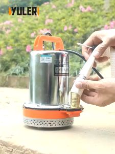 12V24V48V Agricultural Irrigation Submersible Pump Electric Small Deep Well Water Pump 1inch Outlet