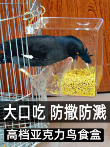 Acrylic Splash-Proof Bird Feeder Automatic Feeding Device Parrot Magpie Cage Anti-Splash Pet Supplies Food Box Chicken Duck Feeds