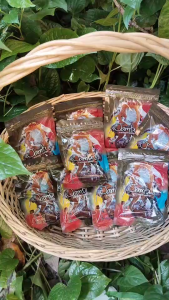 อาหารนกกรงหัวจุก จัมบูล Jambul โฉมใหม่ สูตรขยันริก 110กรัม แบบซอง