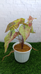 Tanaman Caladium Hias Daun Sintetis Artificial Pot Putih Elegan | Ukuran 15x30 | DIY Handmade Rapi | Dekorasi Rumah Estetik