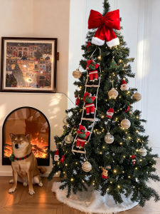 ETY | Tesla Logo Christmas Santa Climbing Rope Decorations
