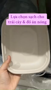 (50 Cái) Khay Bã Mía 1 Ngăn 800ml Kèm Nắp Nhựa Trong Cao cấp (23*13*4.5cm)