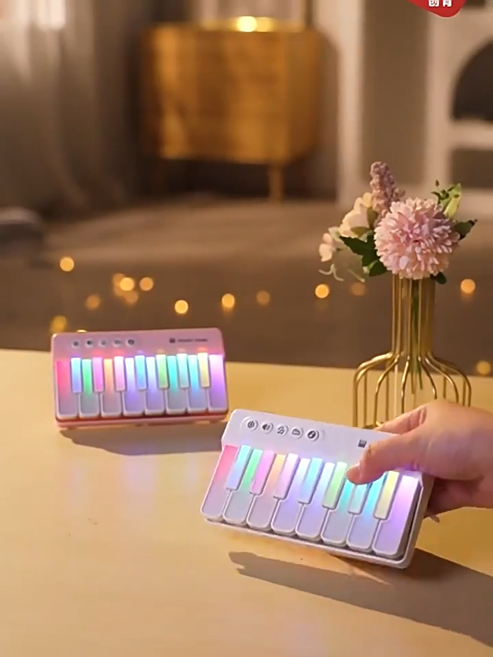 Kids Piano 15 Keys Mini Electronic Organ Musical Piano Teaching Educational Toys For Kid