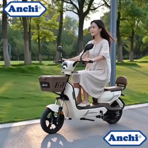 AENXRD Electric bikes 48v12ah/20ah 2 Wheels Max Speed 50KM/H Waterproof IP65 LCD E Bike For Adult