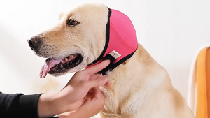 UDECI Hearing Protection Dog Calming Earmuff Noise Reduction Shock Proof Dog Soothing Headcover  Waterproof Dog Ear Cover Summer Swimming