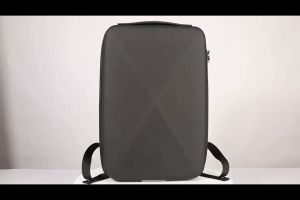 BANGE 22092 Premium Backpack (30x8x45cm 1.2kg 14L) Anti-Theft Design YKK Zipper TSA Lock Water Repellent Fabric 14" Laptop & 9.7" Tablet Fit Multi-Compartment Travel Office School Daily Bag