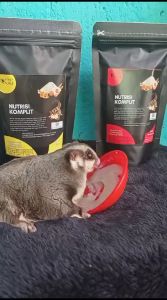 Nutrisi Komplit Makanan Praktis Harian Langsung Seduh Sugar Glider 500gr