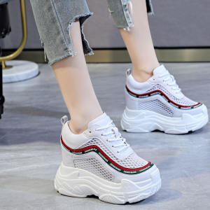 ZhenDiWang High Heel Net Shoes Womens 12CM Ultra High Heel Spring Summer New Thick Bottom Heightening Casual Sports Dad Shoes