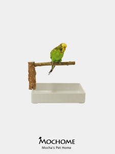 Real Wood Bird Training Stand Tiger Skin Parrot Desktop Toilet Training Station Pole Platform Stick Medium Small Size Support