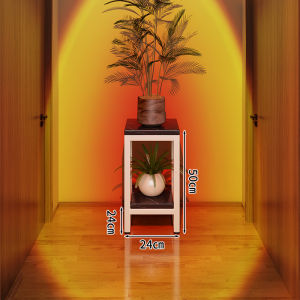 WUBUWEI | Plant Display Stand