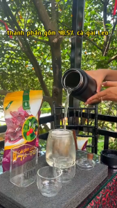 Trà Túi Lọc Cà Gai Leo Tía Tô Sadu - Mát Gan Thải Độc Hỗ Trợ Gút