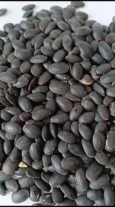 Biji Kedawung Grade A | Biji Kedaung Kering | Biji Kedawung 500gr-1kg