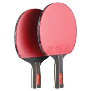Double Fish | Professional Ready-to-Play Ping Pong Racket for Beginners Children and Students 6 Star Rubber Horizontal Grip