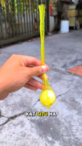 【1000km without snakes 】belerang halau ular Sulphur Powder Snake Repellent Pek 10 kiraan Long-lasting effect snake repellentKesan kalis air yang haik Pertahanan kesan ganda Kesannya serta-merta Lasting protection for 360 days Pekat mujarab Pil penghalau u